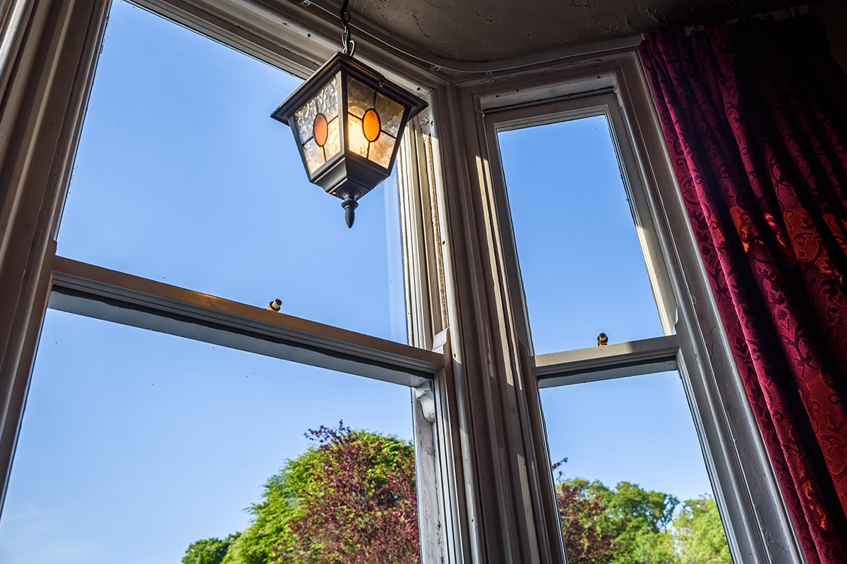 Clean sash windows reading