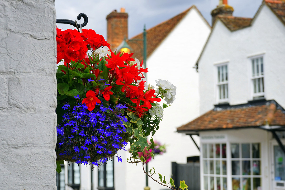 Refurbishment Options For Your Sash Windows