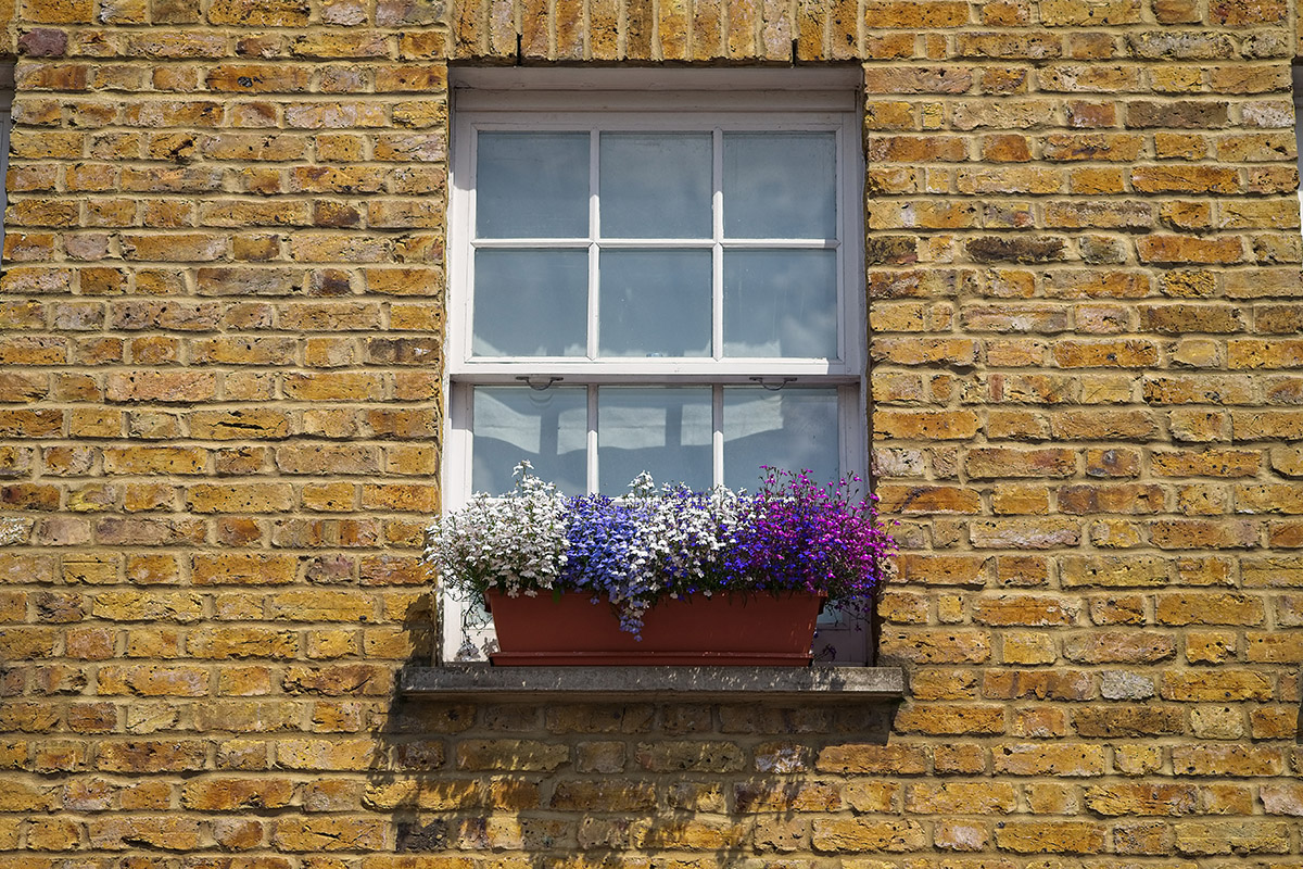 are sash windows right for you?