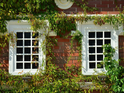 sash window repairs and restoration