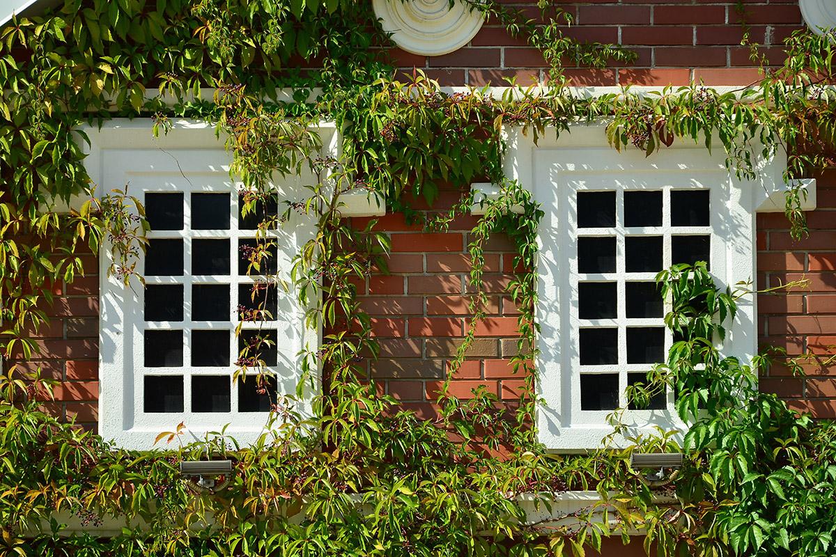 sash window repairs and restoration